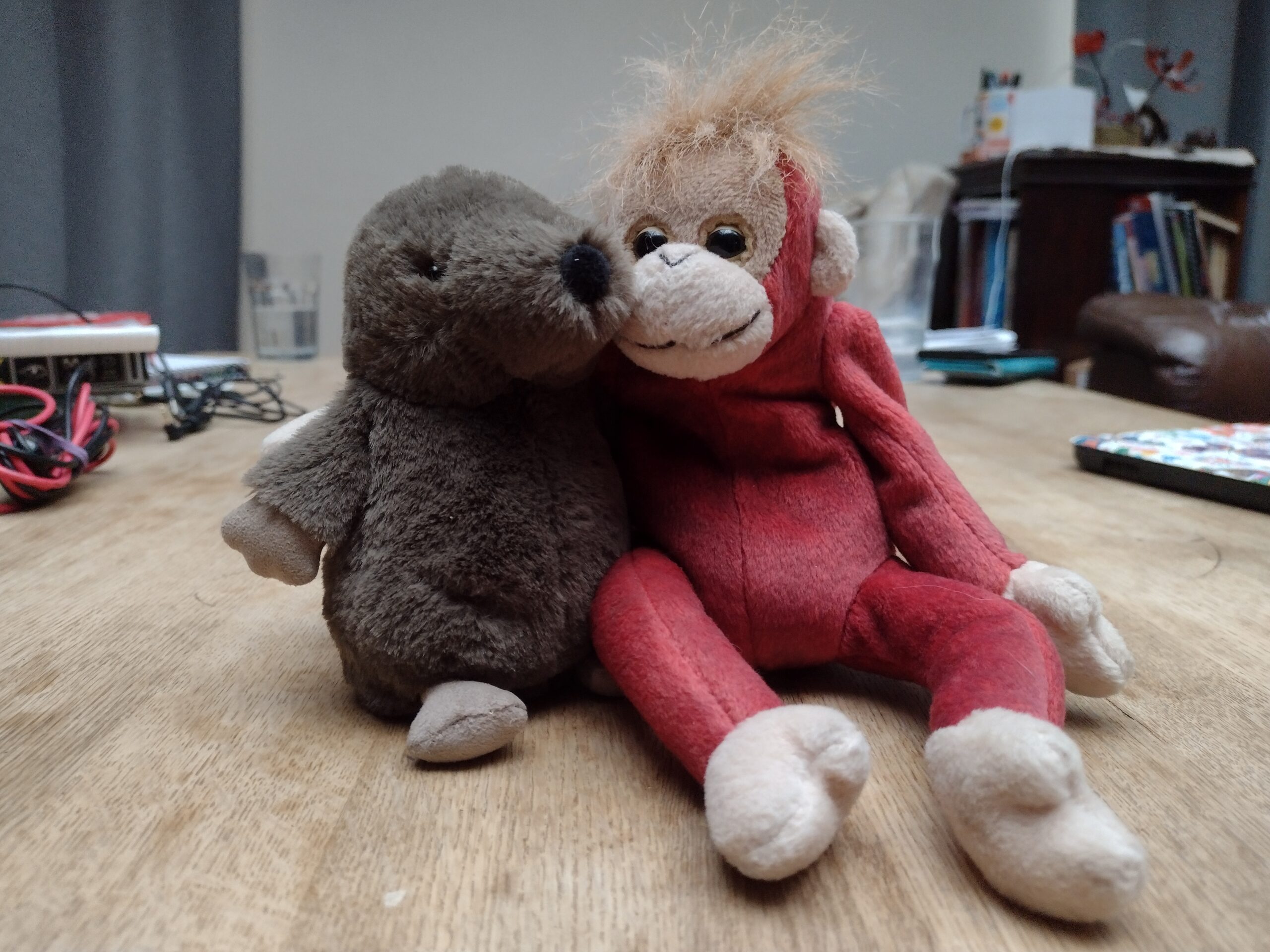 Two soft toys. A mole and an orangutang